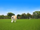 �̂т̂тƂ���������������X�y�[�X�ł�񂿂��ɂ������������̌����B