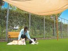 �`dog park �a�݁`���p�C���[�W