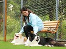 �`dog park �a�݁`���p�C���[�W