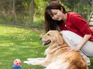 �yDOG PARK�z�̂т̂тƂ���������������X�y�[�X�ł�񂿂��ɂ������������̌����B