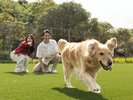 �yDOG PARK�z�̂т̂тƂ���������������X�y�[�X�ł�񂿂��ɂ������������̌����B