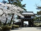千秋公園※画像提供:秋田市