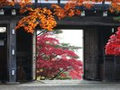 千秋公園※画像提供:秋田市
