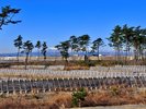 【当館から車で約15分】貞山運河