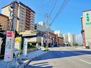 �����̐쉷��X