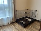 ��PET FRIENDLY STANDARD TWIN