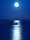 お月さまが海に映る「月の道」に10秒間、一生懸命お祈りすれば願い事が叶うと言われています☆