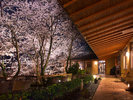 個室懐石『遊間庵』へ向かう小道は春になると桜が咲き誇ります