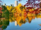 秋の中島公園