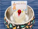 ハートのケーキ(有料※前日までに要予約)