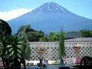 雄大な富士山を見ながらのお食事は格別です!