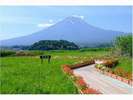当館から富士山を見ながら花街道を徒歩3分散歩でハーブ公園へ♪