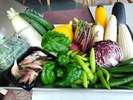 新鮮な無農薬野菜をたっぷり使ったお料理をお出しします!