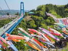 竜神大吊橋
