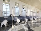 【温泉大浴場】ゆったり使える洗い場スペース