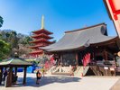 【電車で約30分】関東三大不動の一つ「高幡不動尊金剛寺」