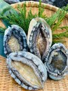常磐ものアワビ、踊り食いで御賞味下さい。