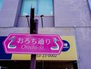 おろち通り