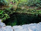 八重垣神社