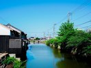 木綿街道