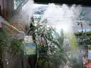 ■赤塚植物園■木漏れ日の中で涼しげなミストを御堪能ください!