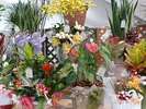 ■赤塚植物園■たくさんのお花がござます!