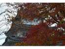 津城の紅葉