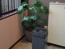 喫煙所