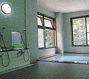 女性穂高岳展望風呂、浴槽内寸３,５m×３m、カラン８。ボディーシャンプー、コンディショナー等。湧水