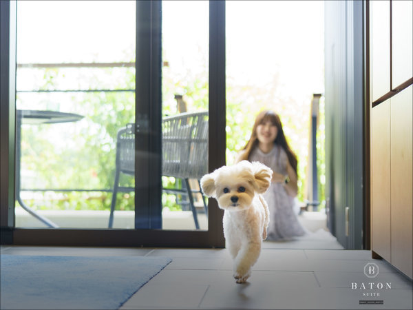 BATON SUITE ����ÉF�����i�o�g���X�C�[�g�j�FBATON���B���X�C�[�g