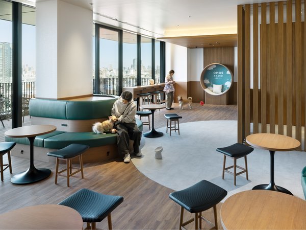 OMO5�����ܔ��c by ���샊�]�[�g�FOMO�h�b�O�K�[�f���i�h�b�O���E���W�j