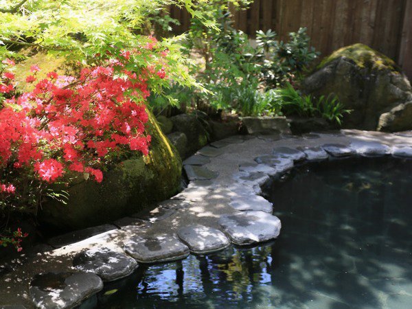 yIVC@ڗ̓zʖLȏt̘IVC