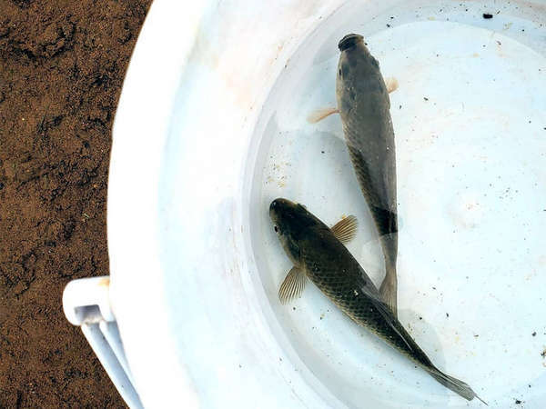 コテージ ペンション nanja monja 宿泊予約は じゃらんnet コテージ ペンション nanja monja 宿泊予約は じゃらんnet