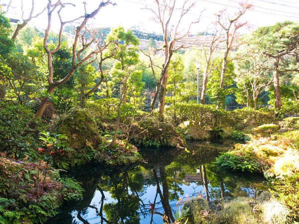 Urplais ホテル 旅館 宿泊施設の検索 池には鯉 緑も綺麗ですね フォレストリゾート 湯の里 杉菜 すぎな