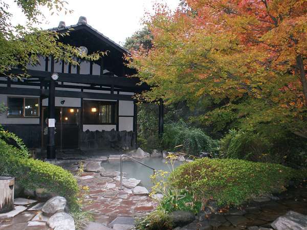 �ǂ듒�̗��Ă����炳���牷��b�����_�{���򋽁F