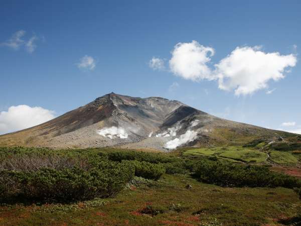 �y���r�X�^���R�i�������]�[�g�j�z���q�l�劽�}�I����w����ᖳ�����}�o�X�₪12/1����^�s�����