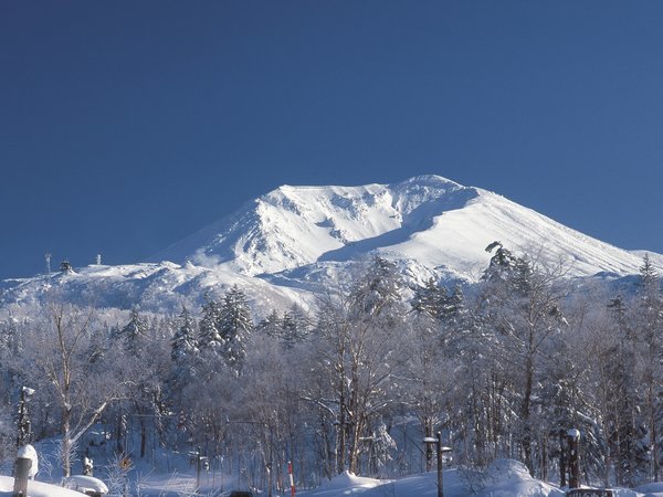 【ラビスタ大雪山(共立リゾート)】お子様大歓迎!旭川駅から≪無料送迎バス≫が12/1から運行決定♪