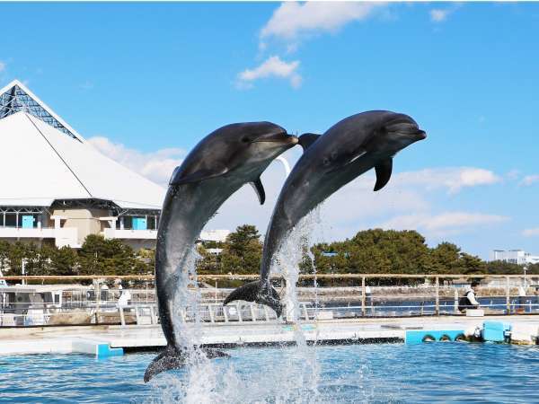 全室１９階以上 横浜テクノタワーホテル 宿泊予約は じゃらんnet