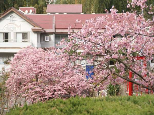 �y�t�@�~���[�����]�[�g��΂��z���͒Ð��]�މ���h������|�������̂��œ��ƈɓ��̊C�̍K�ɐ��