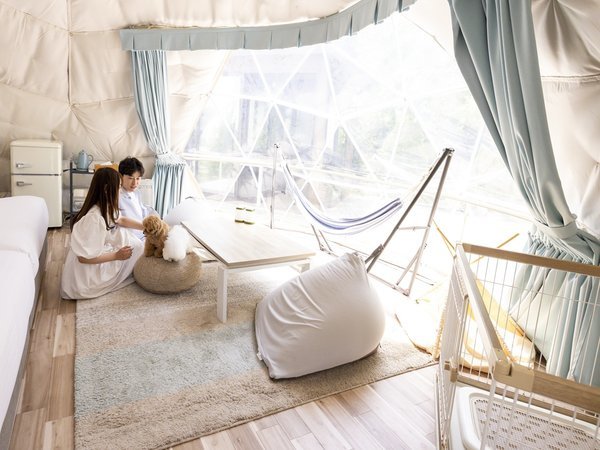 �y�b�g�h�[���e���g