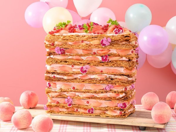 �_�˖k��z�e���F���̃~���E�~���t�B�[��