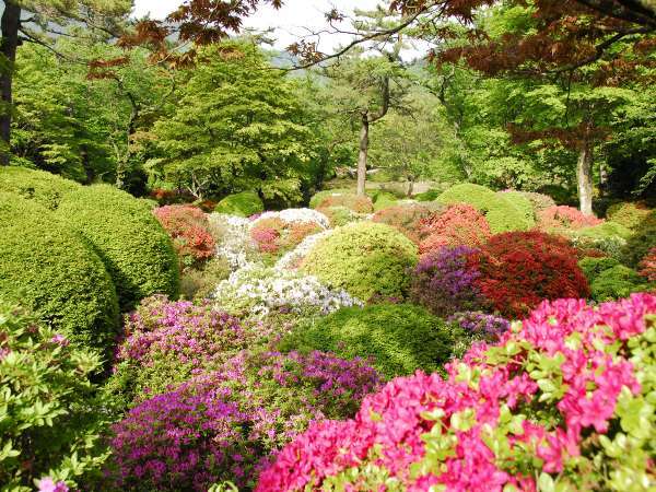 箱根小涌園 三河屋旅館 宿泊予約は じゃらんnet