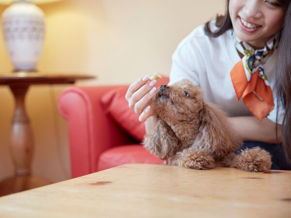 �y�C���[�W�z�����Ƃ̑�؂Ȏ��Ԃ��T�|�[�g����ݔ���O�b�Y���[���̃h�b�O���B���B