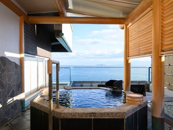 �I�V���C�t���ʎ�