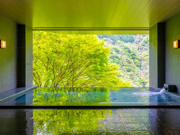 ■展望風呂　SORA NO YU■新緑の季節、瑞々しい空気が満ちています