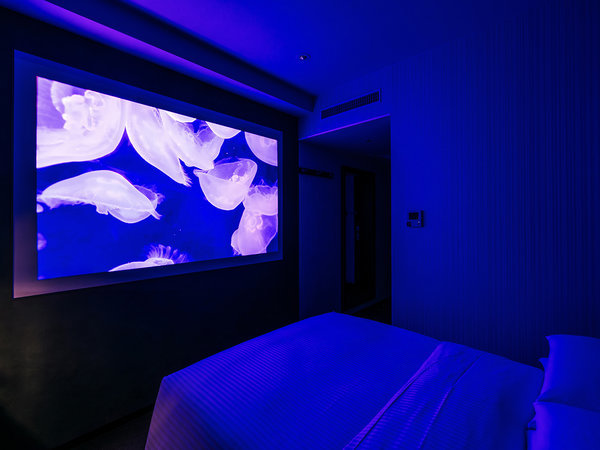 ���b�`�����h�z�e���v���~�A�����X�R�[���FBox Theater Room