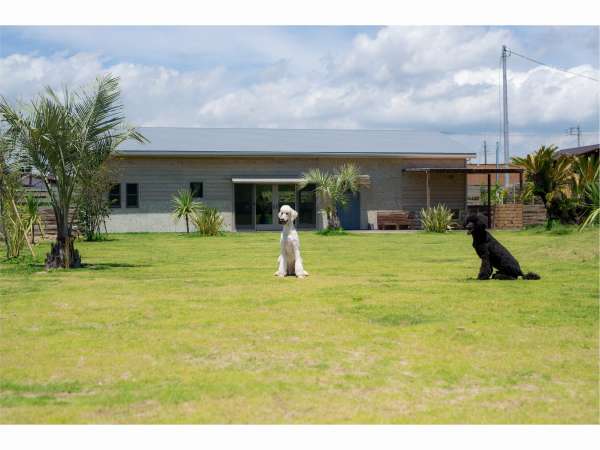 海の音 宿泊予約は じゃらんnet