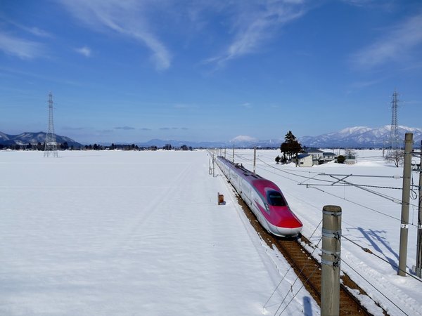 �y�싽�i���j����@���ё��z2��ނ̌��򂩂���������ƁA�G�߂̂������ŁA�S�g���炮�ЂƎ���