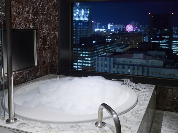 r[oXC[WBqŏKvULO3́AɂقȂoX[⒭]́B