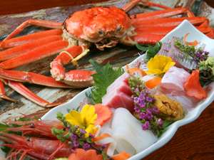 ◆1.3キロ以上保証！◆黄タグ付き「越前蟹フルコース」♪特々大越前蟹をがっつり食べたい！１人１杯使用